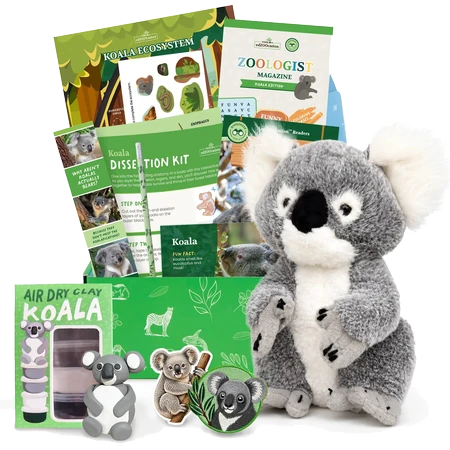 Koala