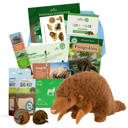 Pangolin