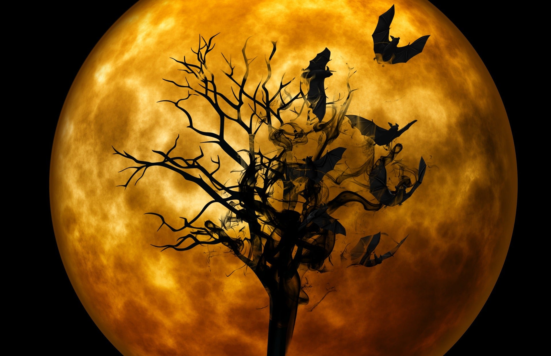 Bat Shadows in the Moonlight