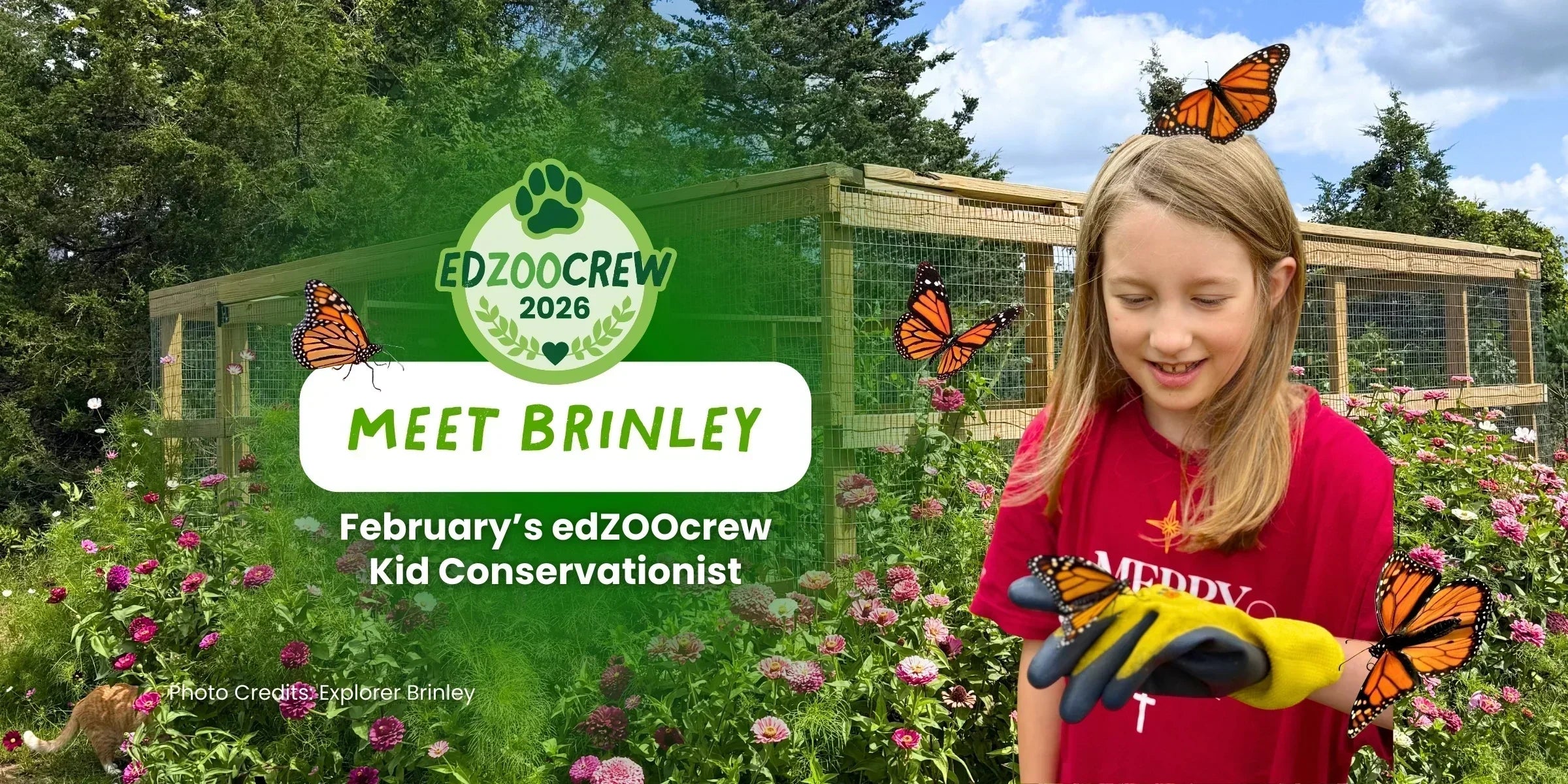 edZOOcrew Kid Conservationist of the Month: 8-Year-Old Brinley Supports Monarch Butterfly Conservation