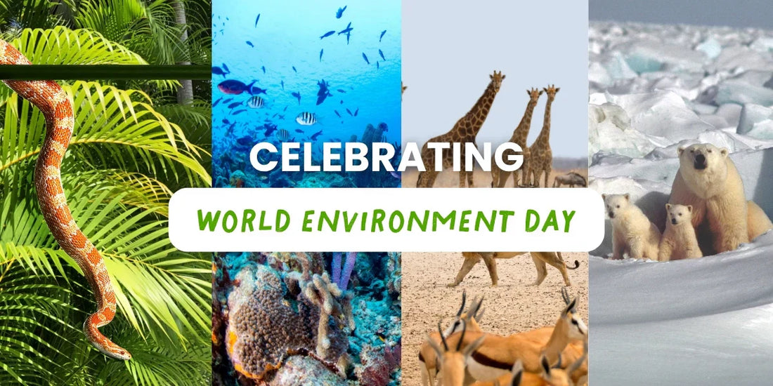 Happy World Environment Day: Helping Kids Connect Gorillas, Habitats, and Conservation