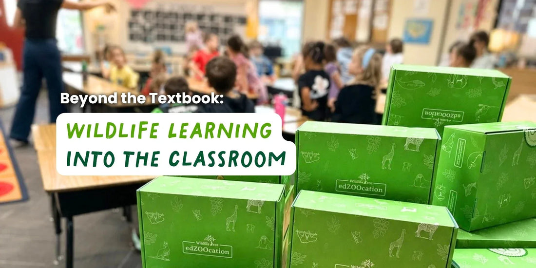 Beyond the Textbook: Bringing Wildlife Learning Into the Classroom