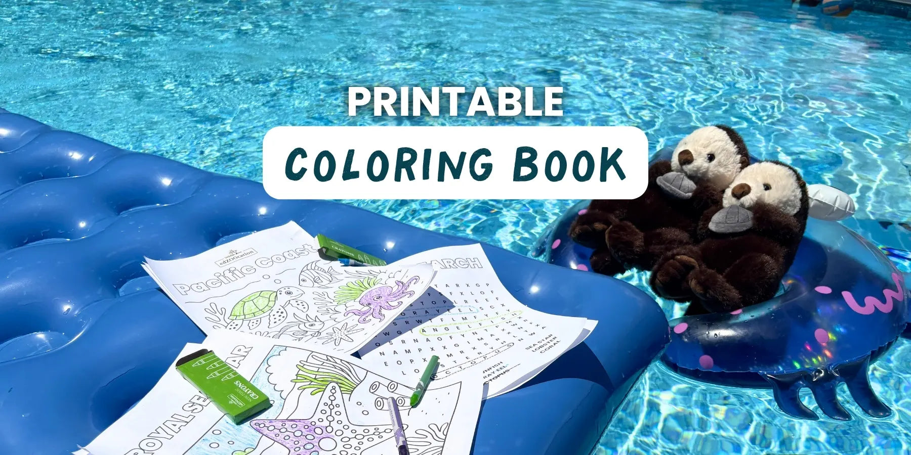 Free Pacific Ocean Ecosystem Activity Book for Kids