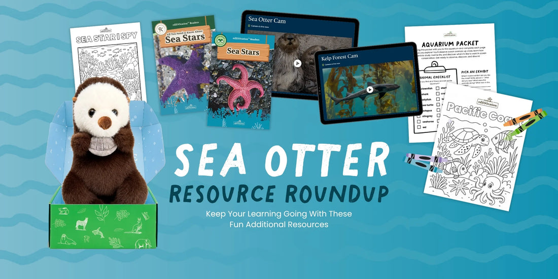 Resource Roundup: Sea Otter Edition