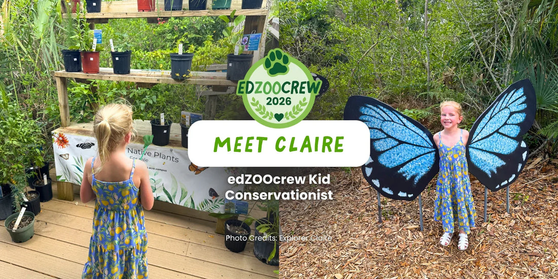 Kid Conservationist of the Month: Meet Claire | edZOOcrew