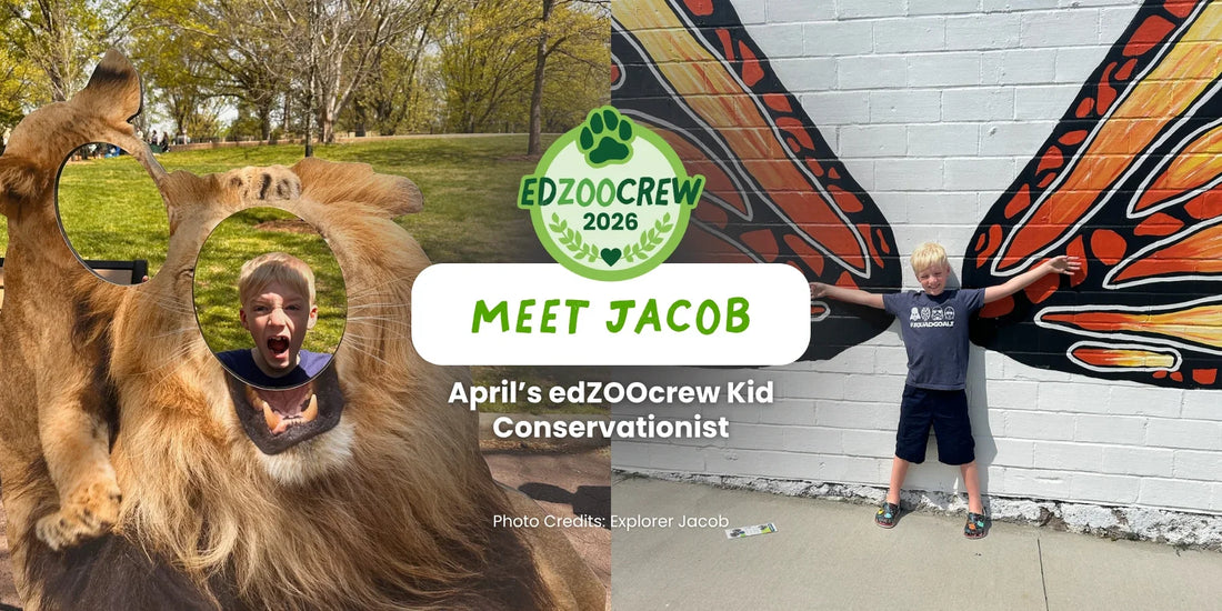 April Kid Conservationist of the Month: Meet Jacob | edZOOcrew