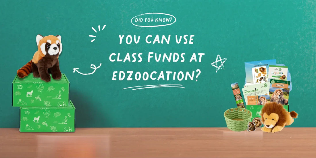 edZOOcation Now on ClassWallet – Making Learning Wildly Accessible! 🦁📚