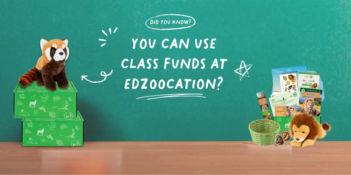 edZOOcation Now on ClassWallet – Making Learning Wildly Accessible! 🦁📚