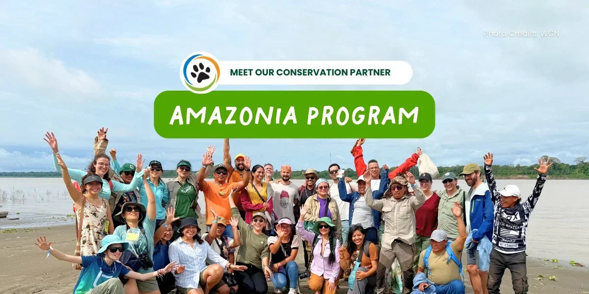 Wildlife Conservation Network’s Amazonia Program: Why Rainforest Conservation Matters (and How Kids Can Help)