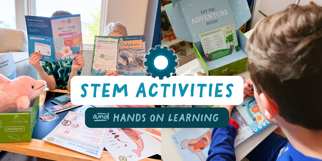 Simple STEM Adventures That Actually Hold Kids’ Attention