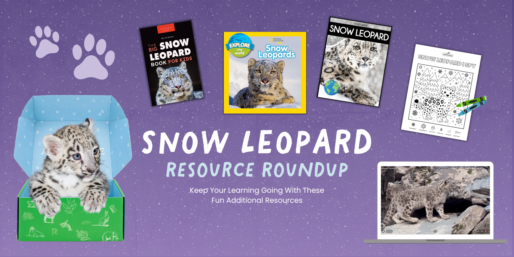 Resource Roundup: Snow Leopard Edition