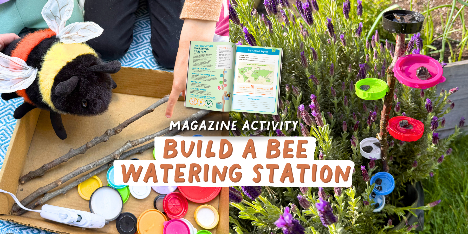 How to Make a DIY Bee Watering Station (Fun Outdoor Activity for Kids)