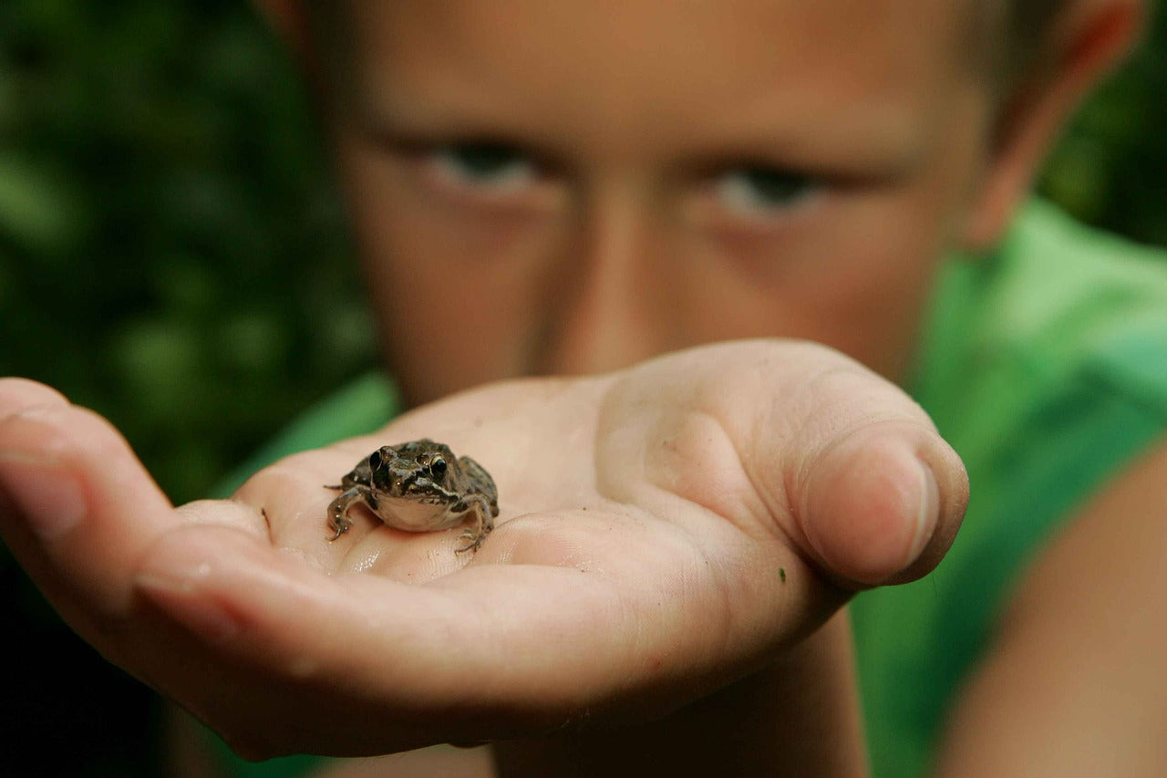 10 Ways to Celebrate Earth Day at Home