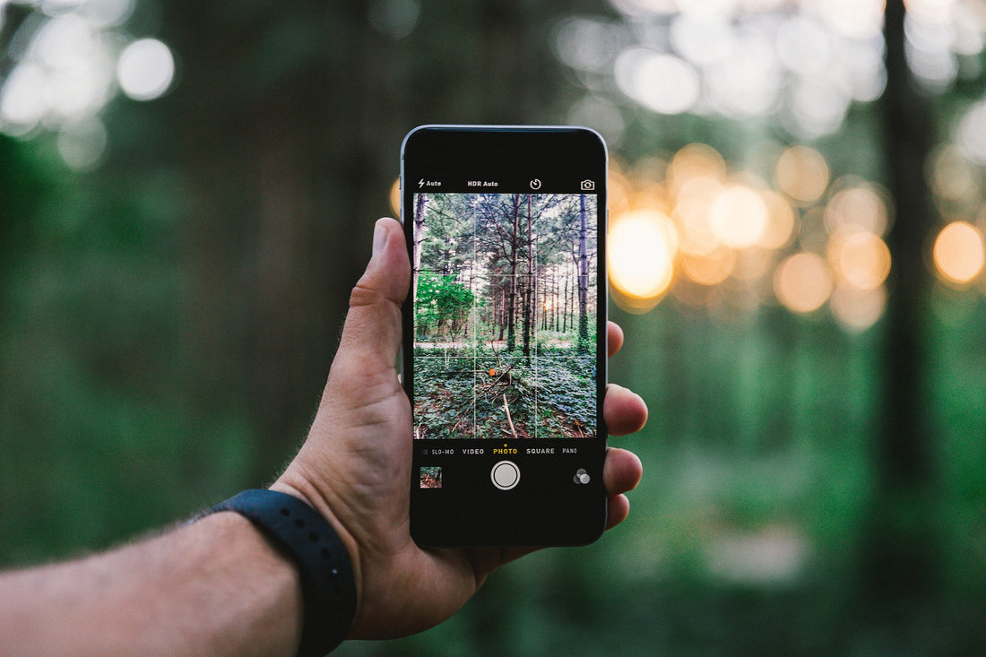 Forest Cell Phone