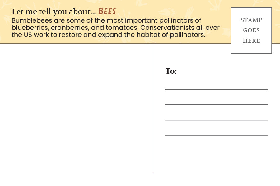 Postcard: Bee