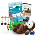 Educational sea otter kit with books, plush toy, and decorative items on a white background