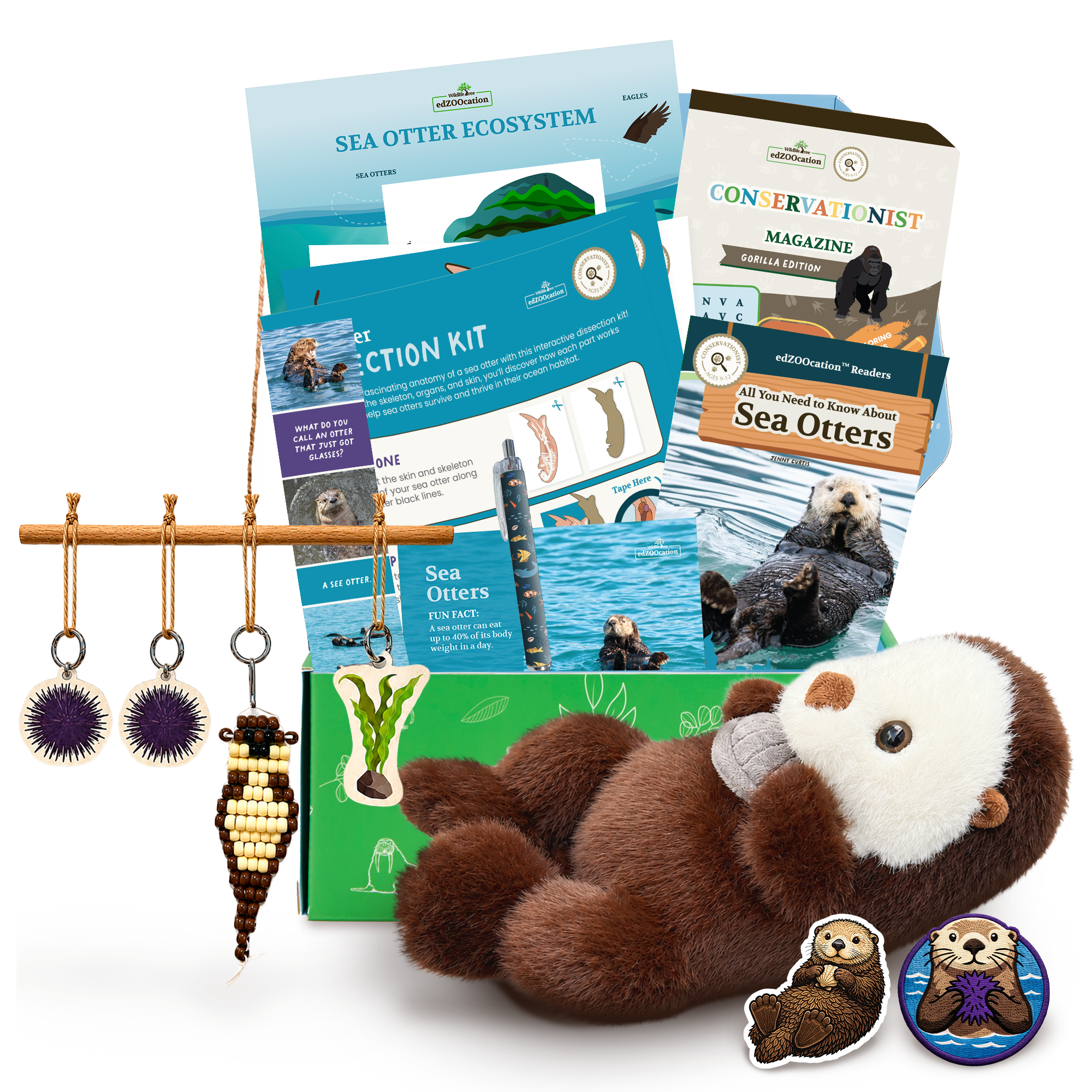 Educational sea otter kit with books, plush toy, and decorative items on a white background