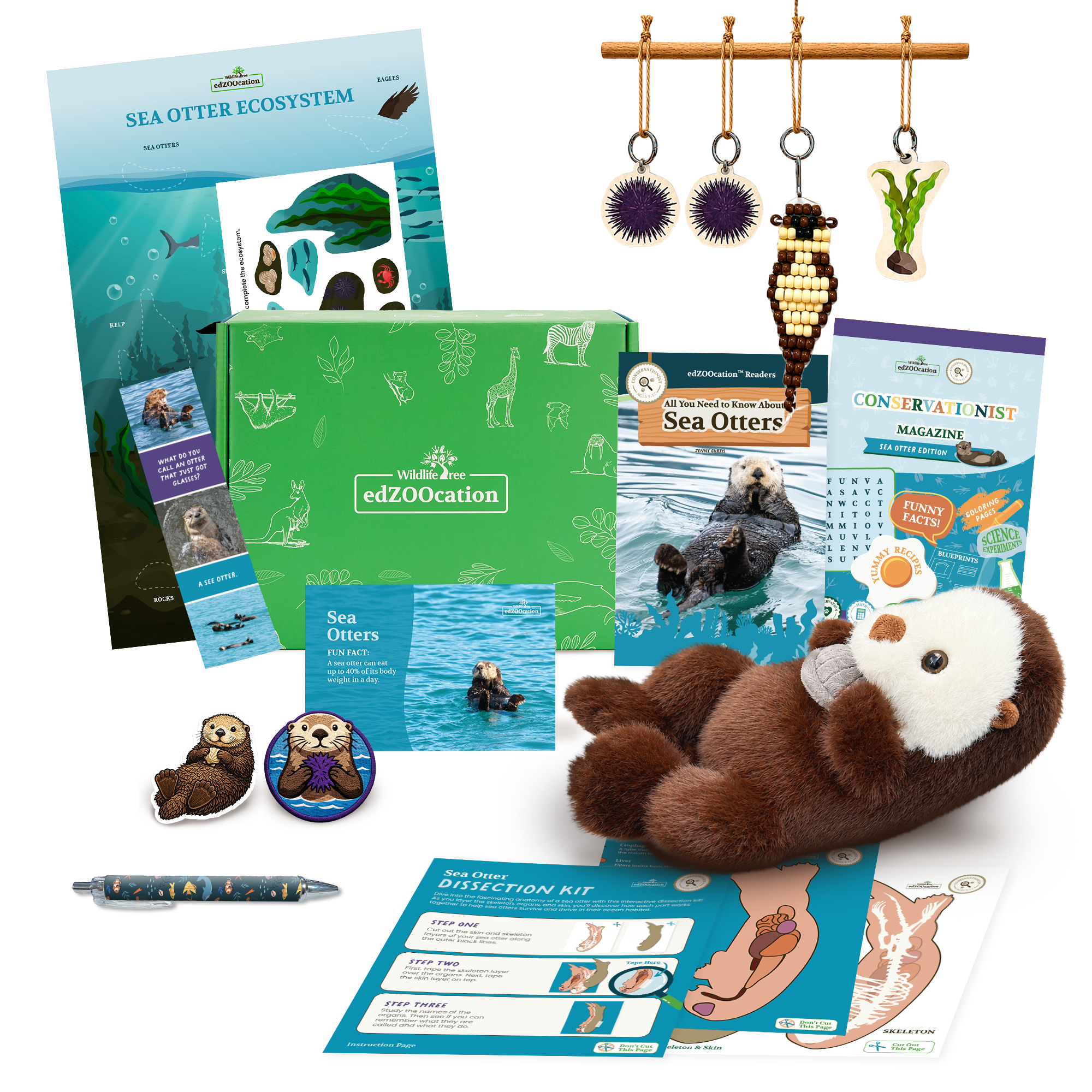 Educational kit about sea otters with books, plush toy, and other materials on a white background