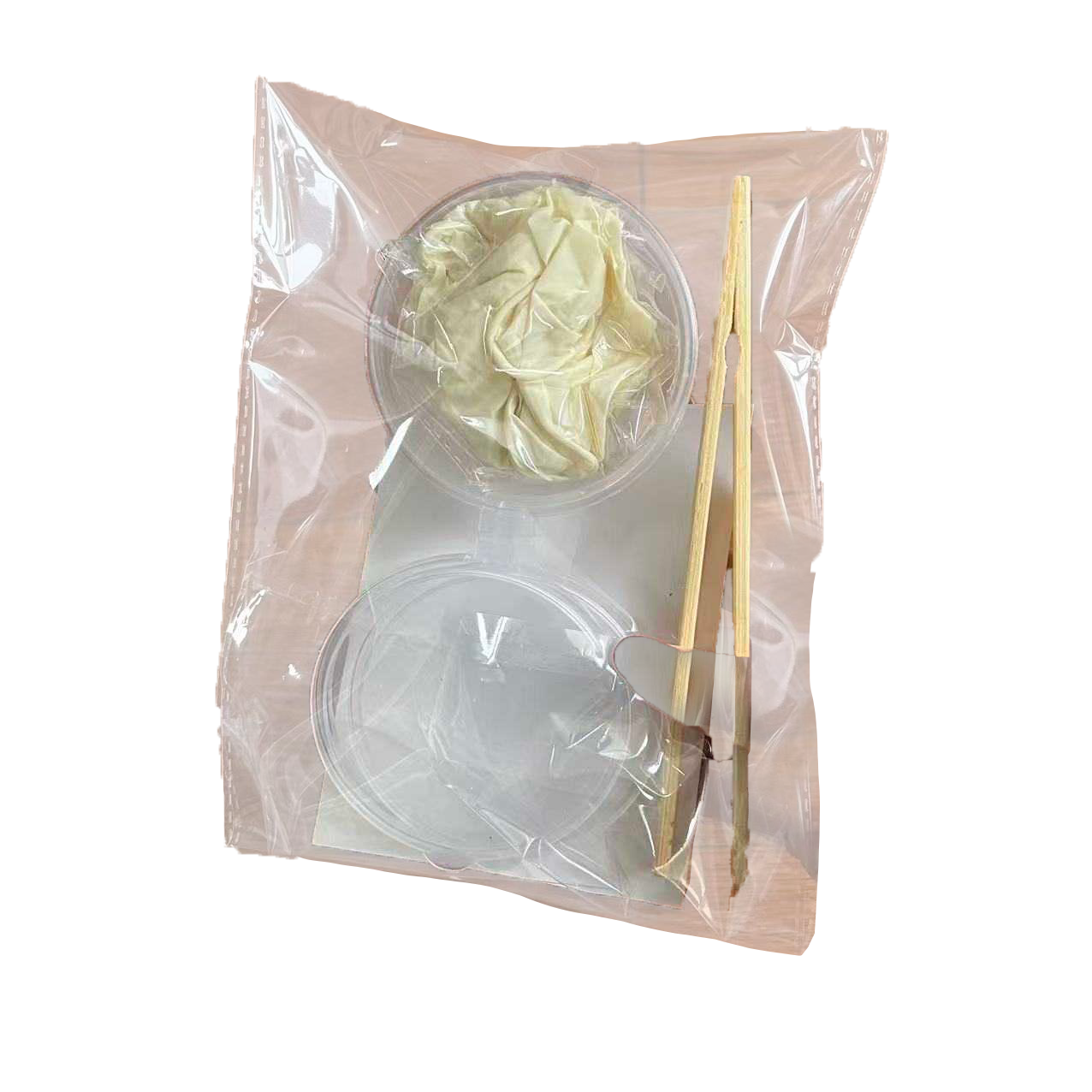 A photo of plastic petri dishes, with gloves, labels and some sticks showcasing a science experiment