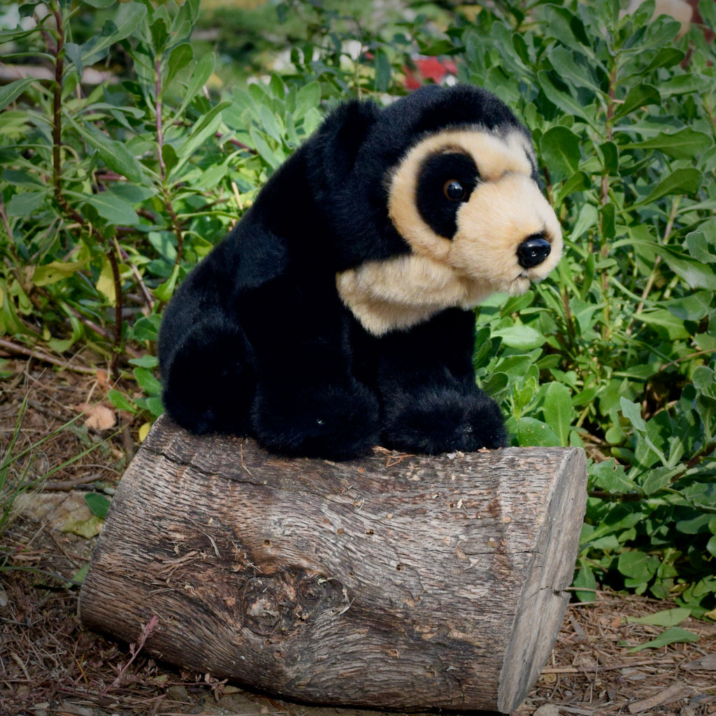 11" Andean Bear Stuffed Animal Plush