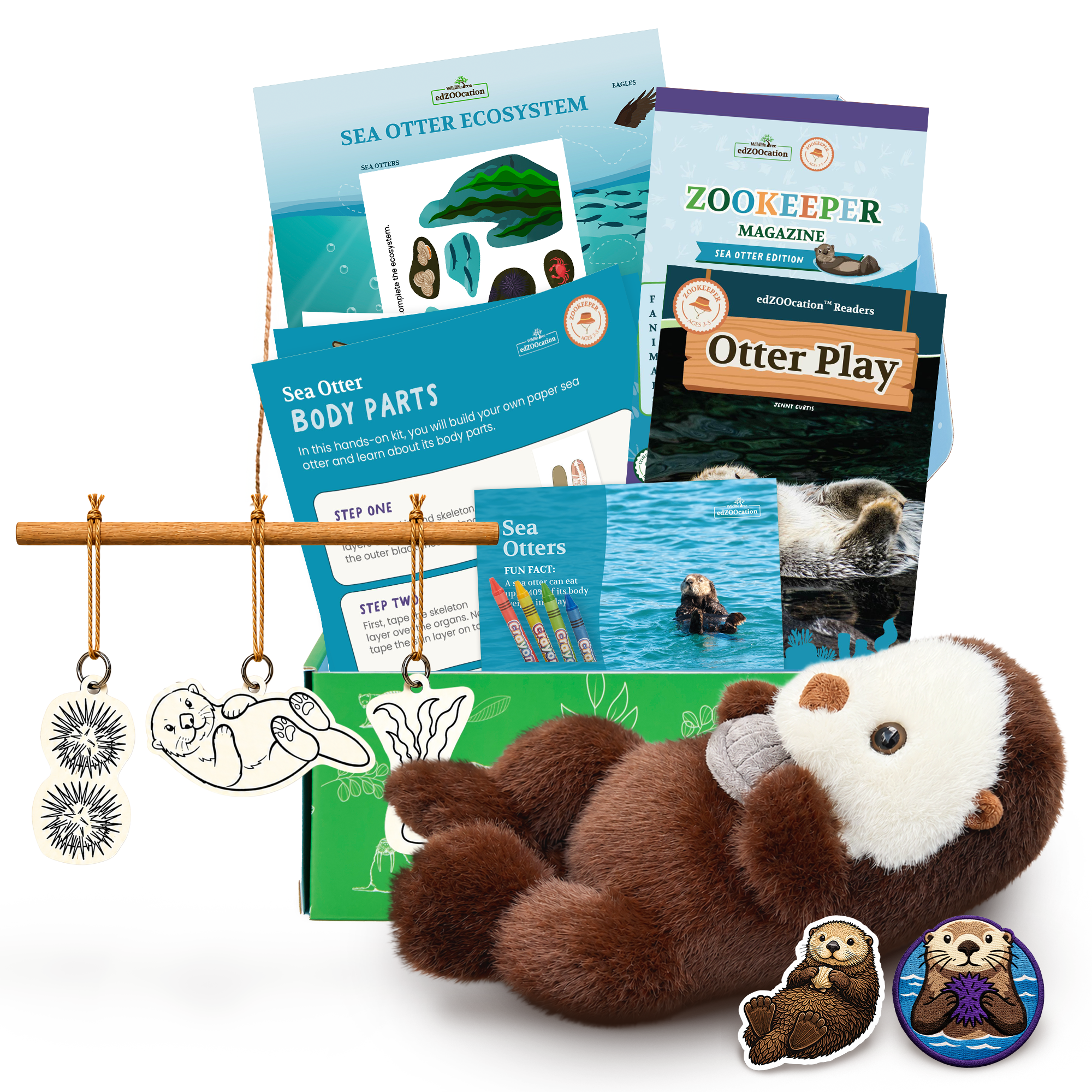 Educational sea otter kit with books, plush toy, and accessories on a white background