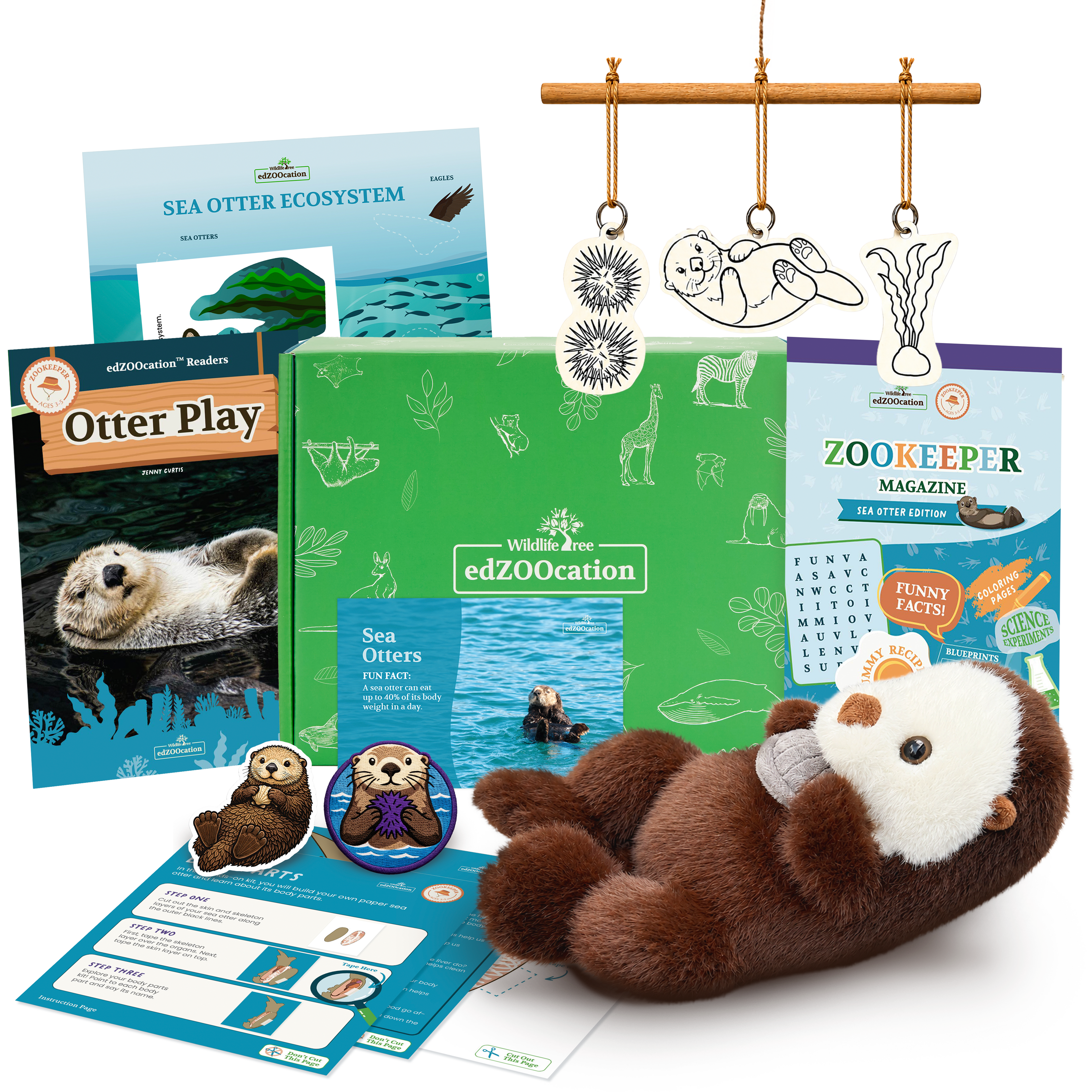 Educational materials and plush toy related to sea otters on a white background