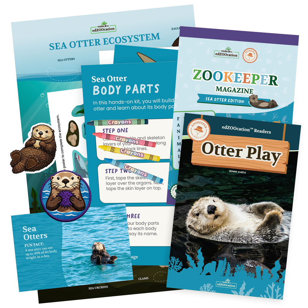 Educational materials including a zookeeper magazine, dissection kit, and reader about Sea Otters on a white background.