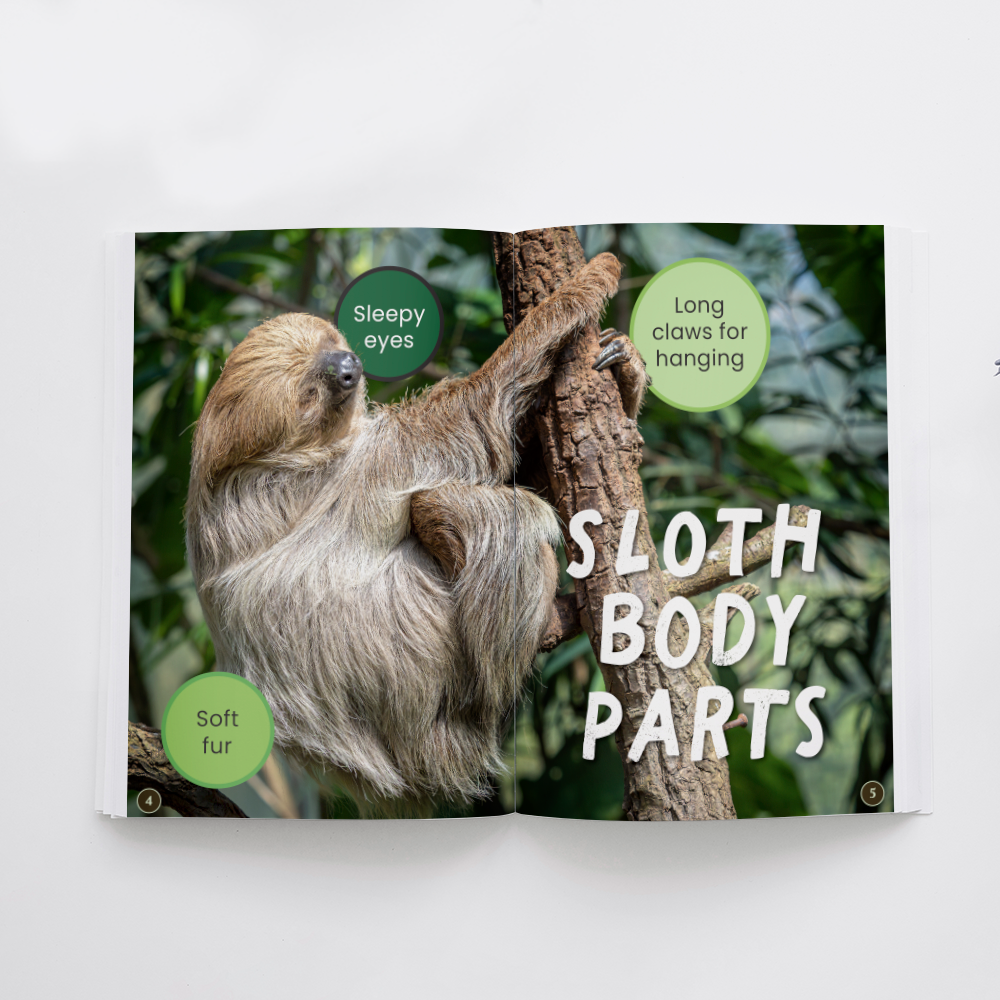 All About Sloths edZOOcation Readers Zookeeper Book - Paperback