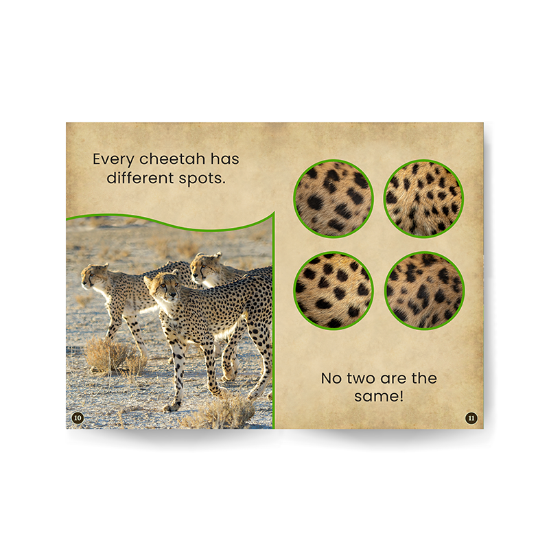 Cheetahs edZOOcation Zookeeper Book - Paperback