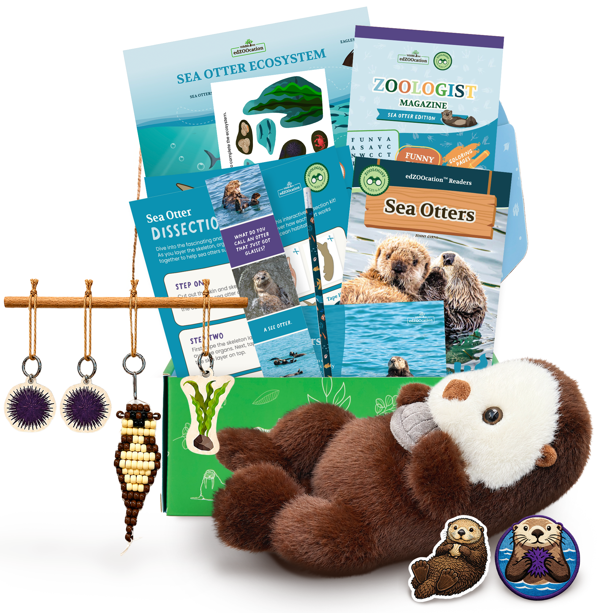 Educational kit about sea otters with plush toy, books, and activities on a white background