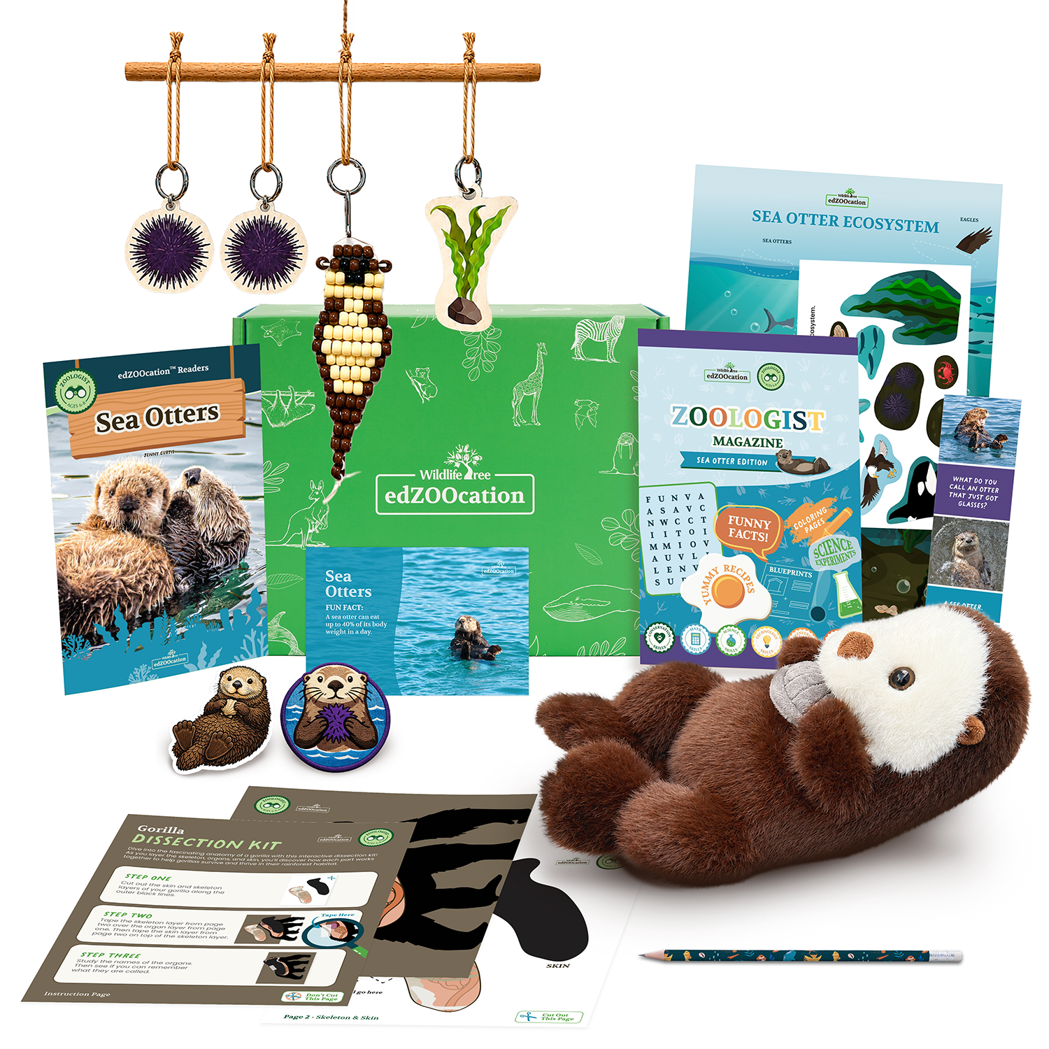 Educational materials and toys related to sea otters on a white background