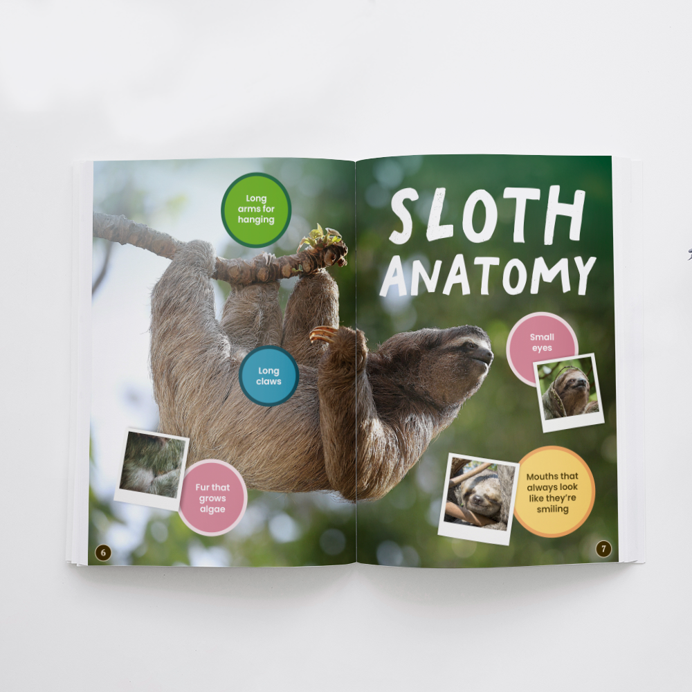 Sloths edZOOcation Reader Zoologist Book - Paperback