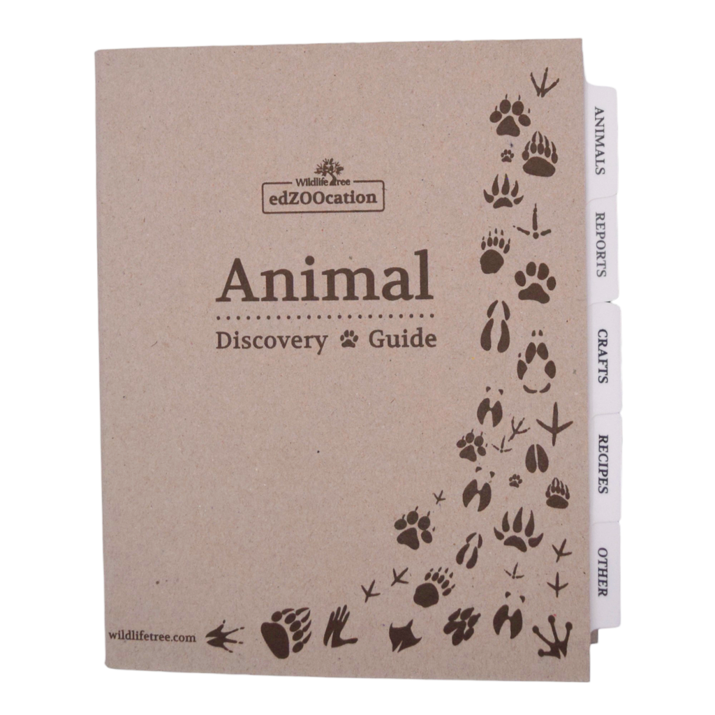 Animal Discovery Guide Binder with Animal Reports