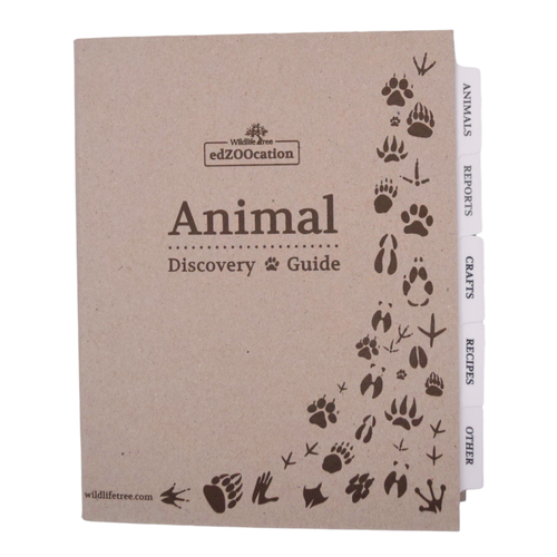 Animal Discovery Guide Binder with Animal Reports