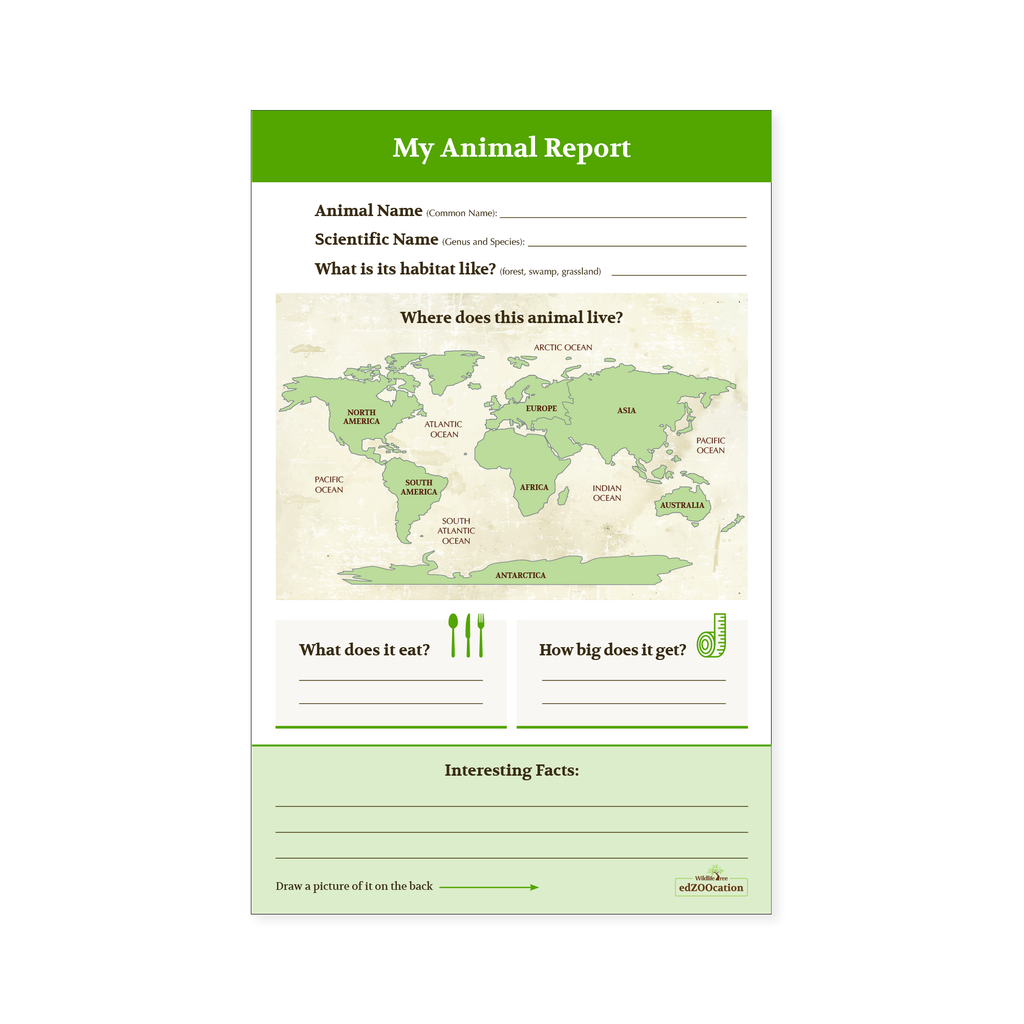 Animal Discovery Guide Binder with Animal Reports