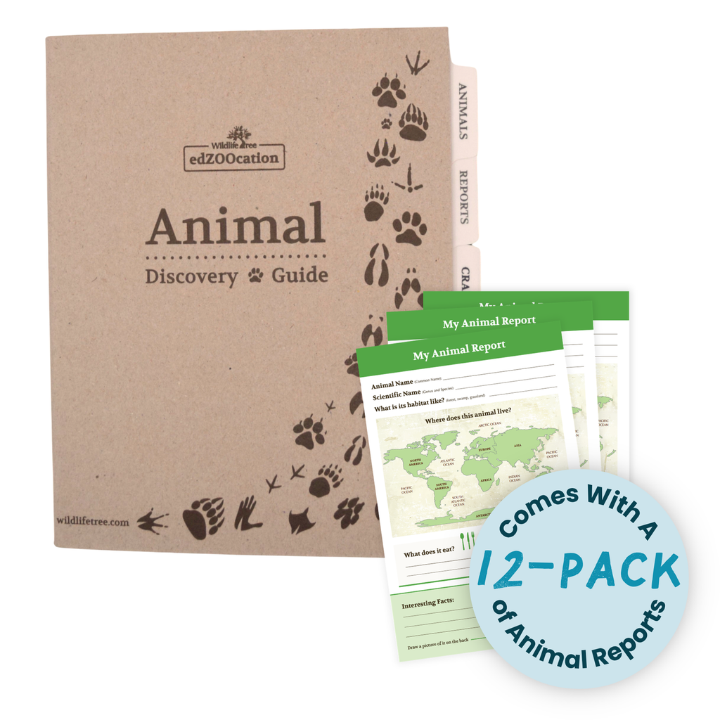 Animal Discovery Guide with animal reports on a white background