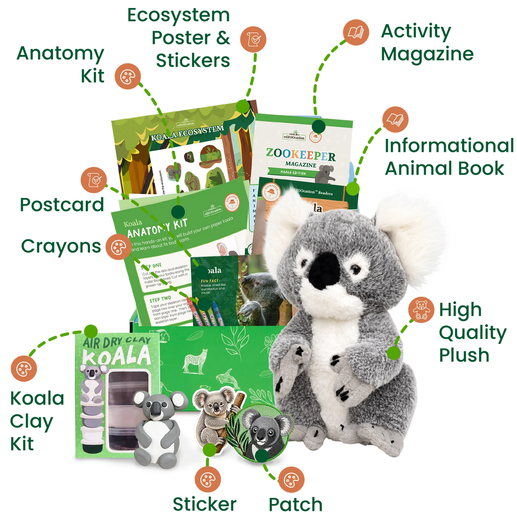 Educational animal kit with plush toy, books, and activities on a white background