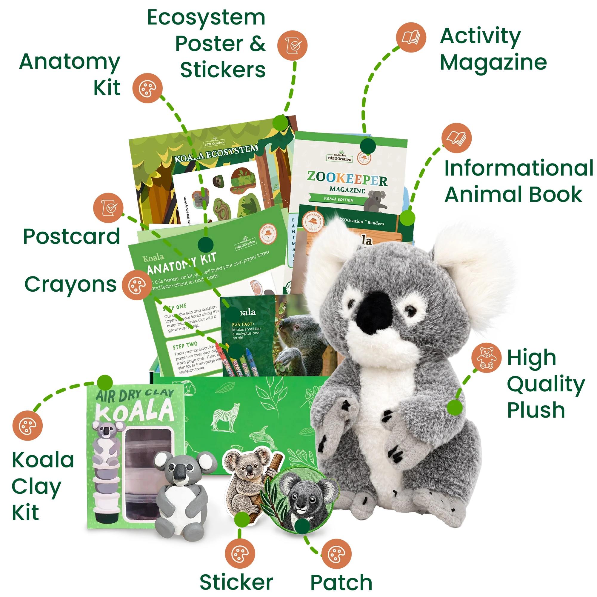 Educational animal kit with plush toy, books, and activities on a white background