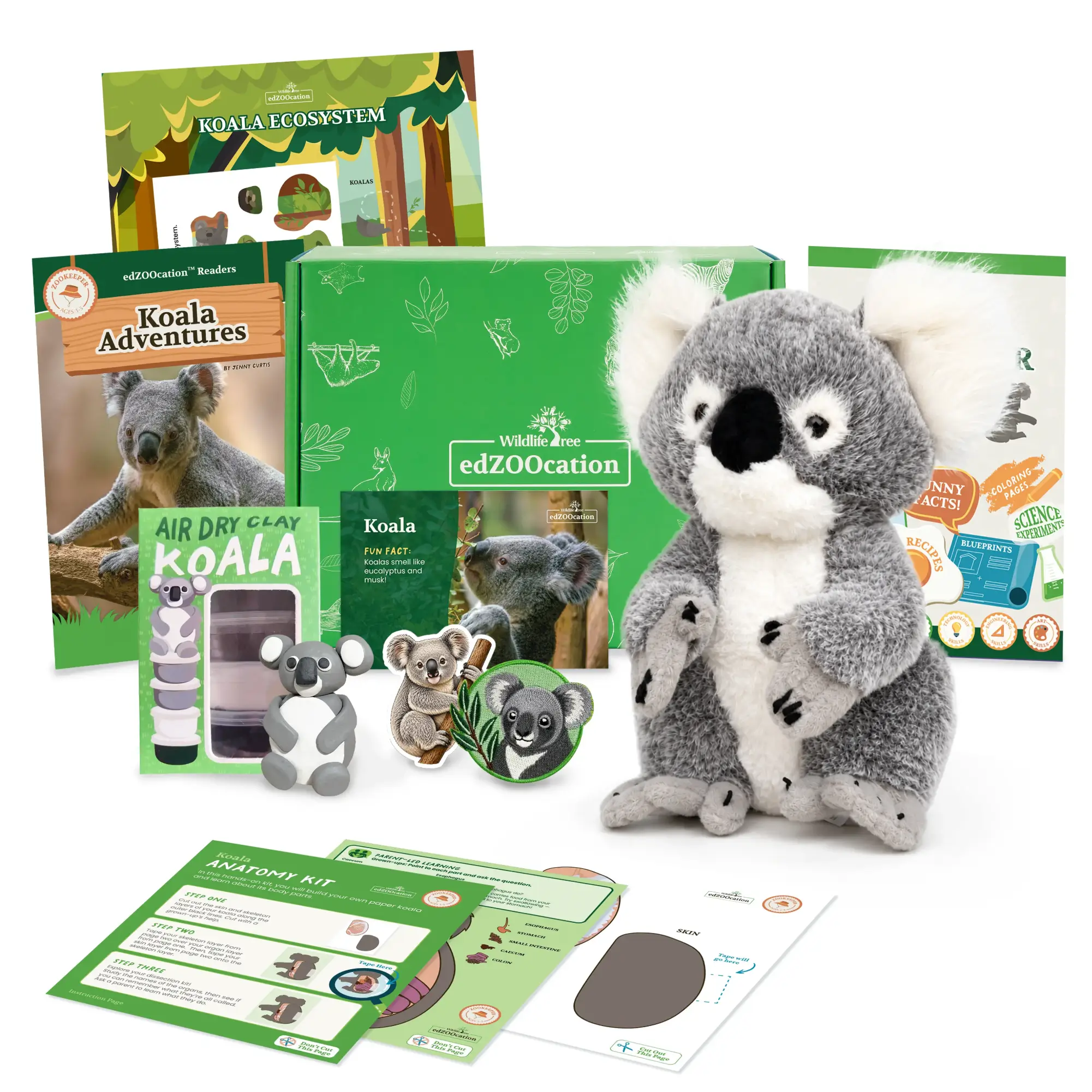Educational materials about animals including a magazine, book, and activity sheets on a white background.