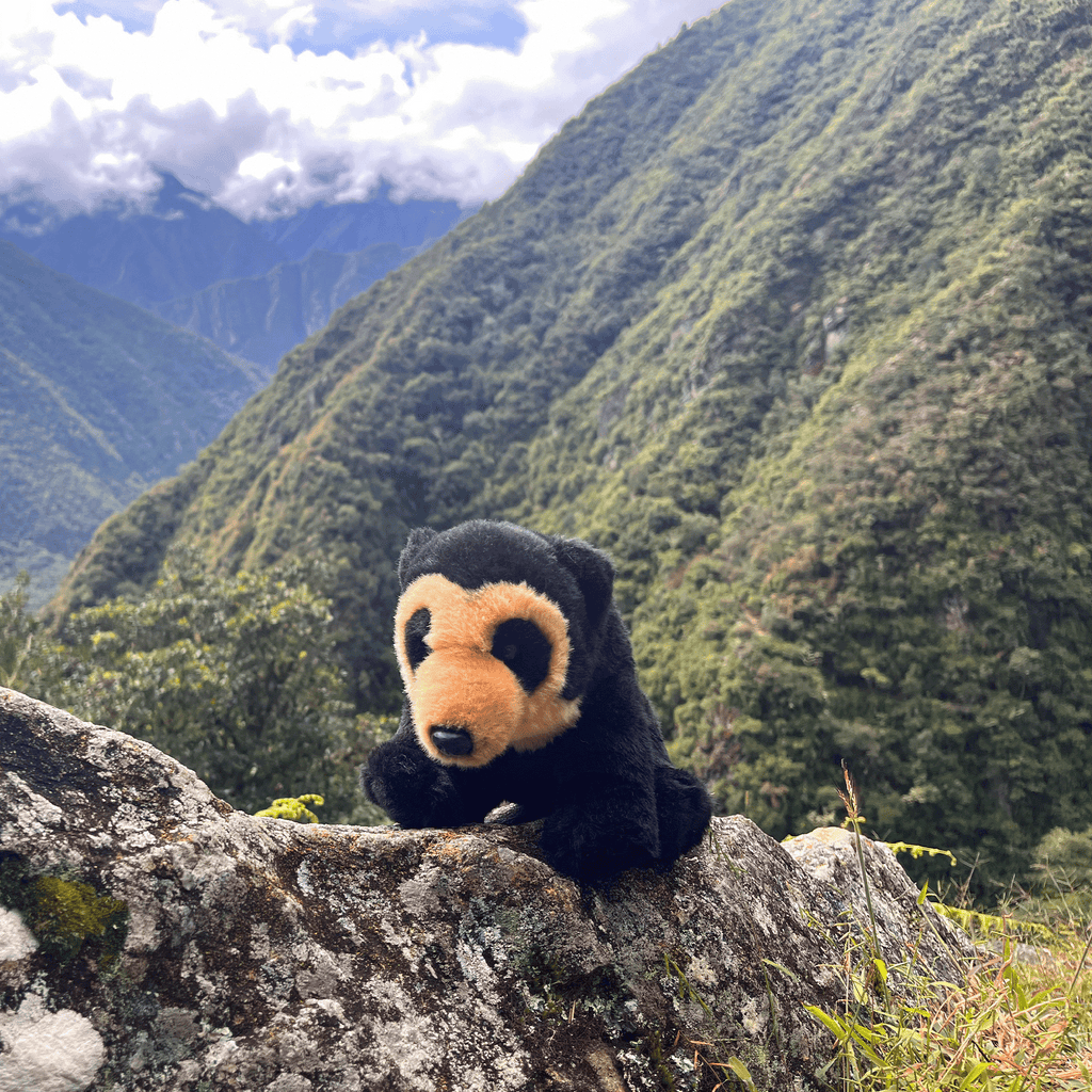 Andean Bear Stuffed Animal on a rock with mountains as a background