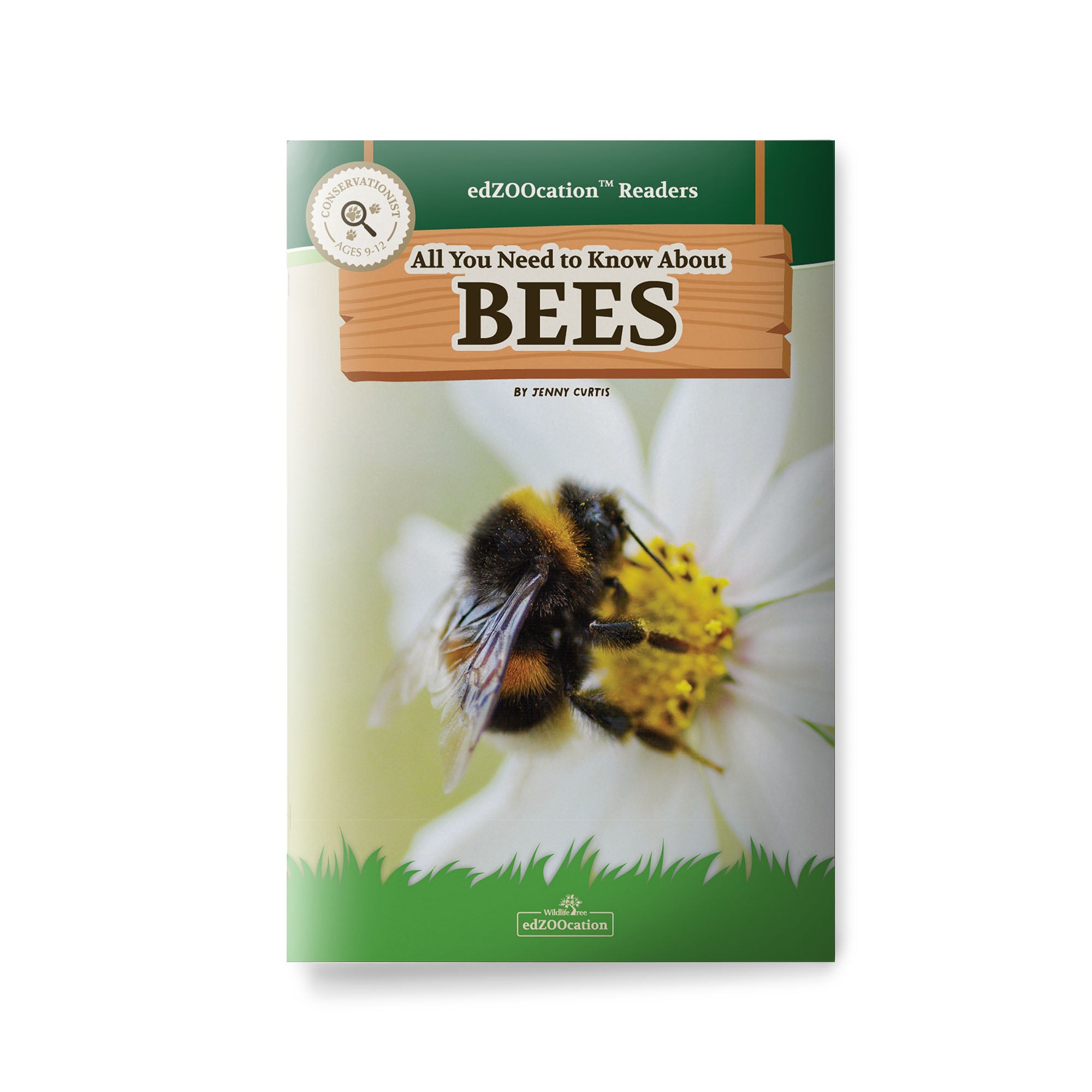 All You Need to Know About Bees edZOOcation Conservationist Book - Paperback