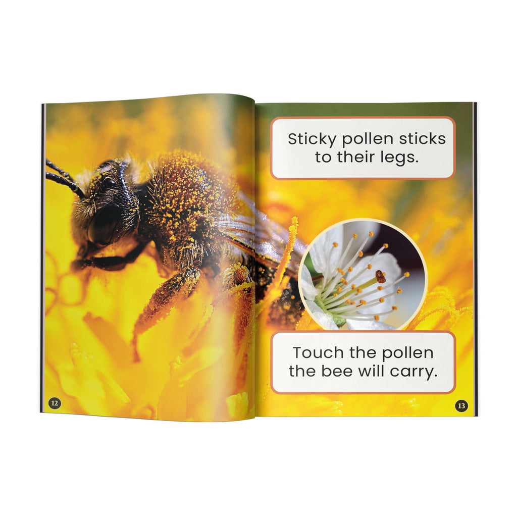Buzzing with Bees! edZOOcation Zookeeper Book - Paperback