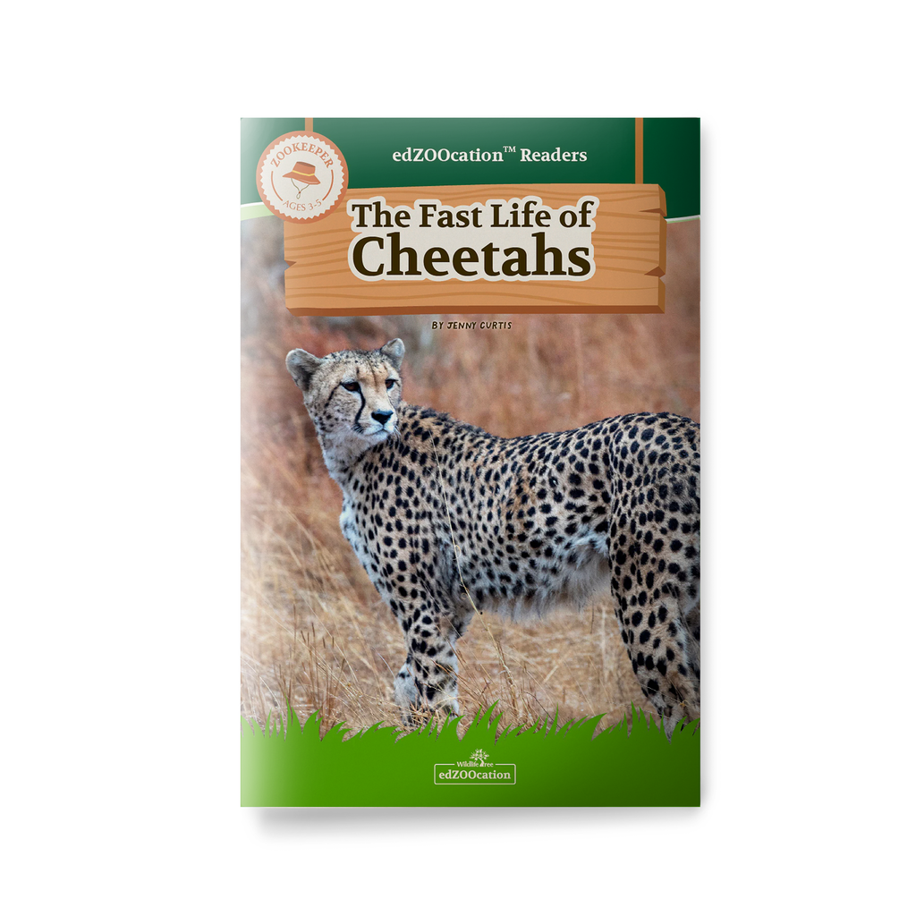 Cheetahs edZOOcation Zookeeper Book - Paperback