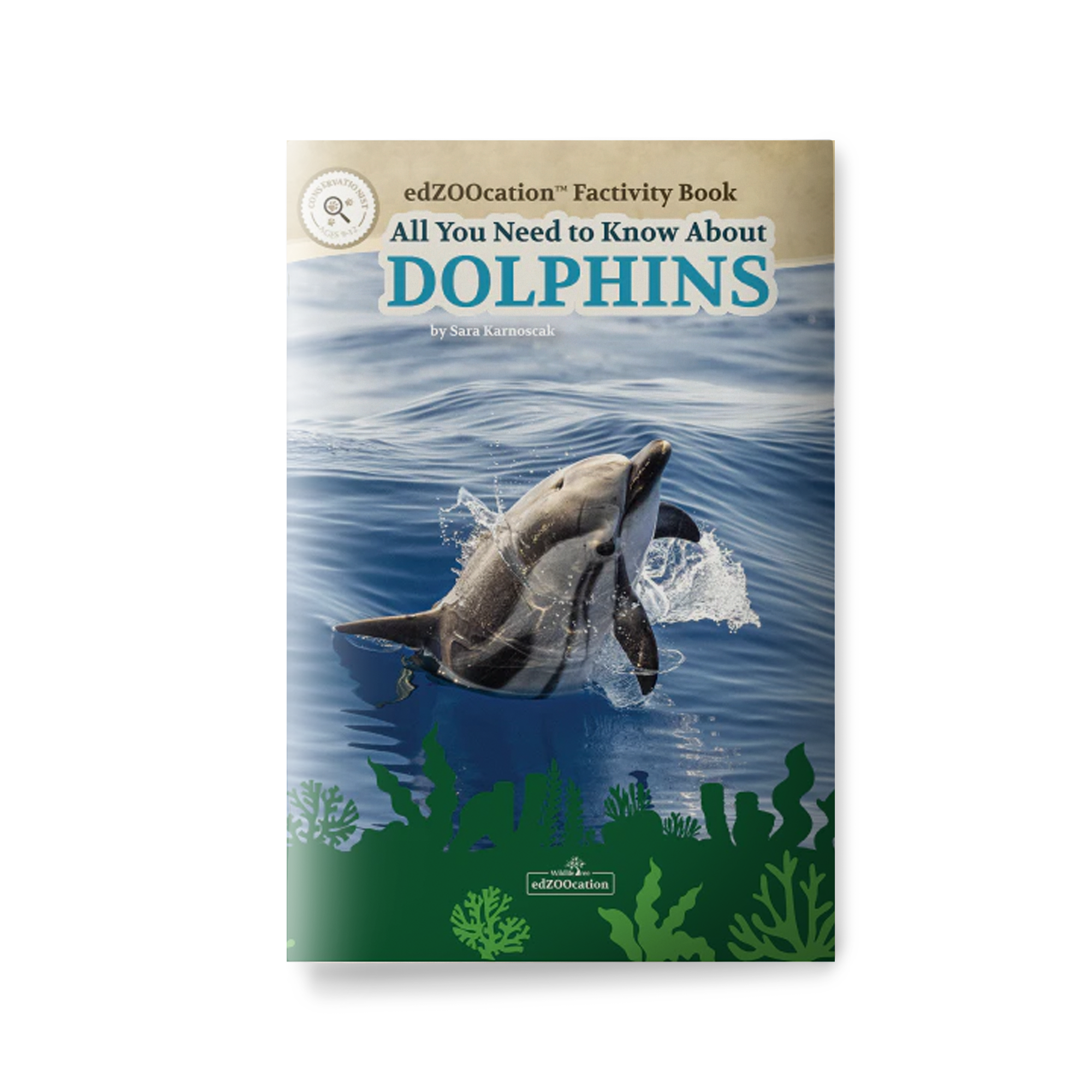 Book cover of 'All You Need to Know About Dolphins' with a dolphin in the water.
