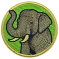 Embroidered patch of an elephant on a green background