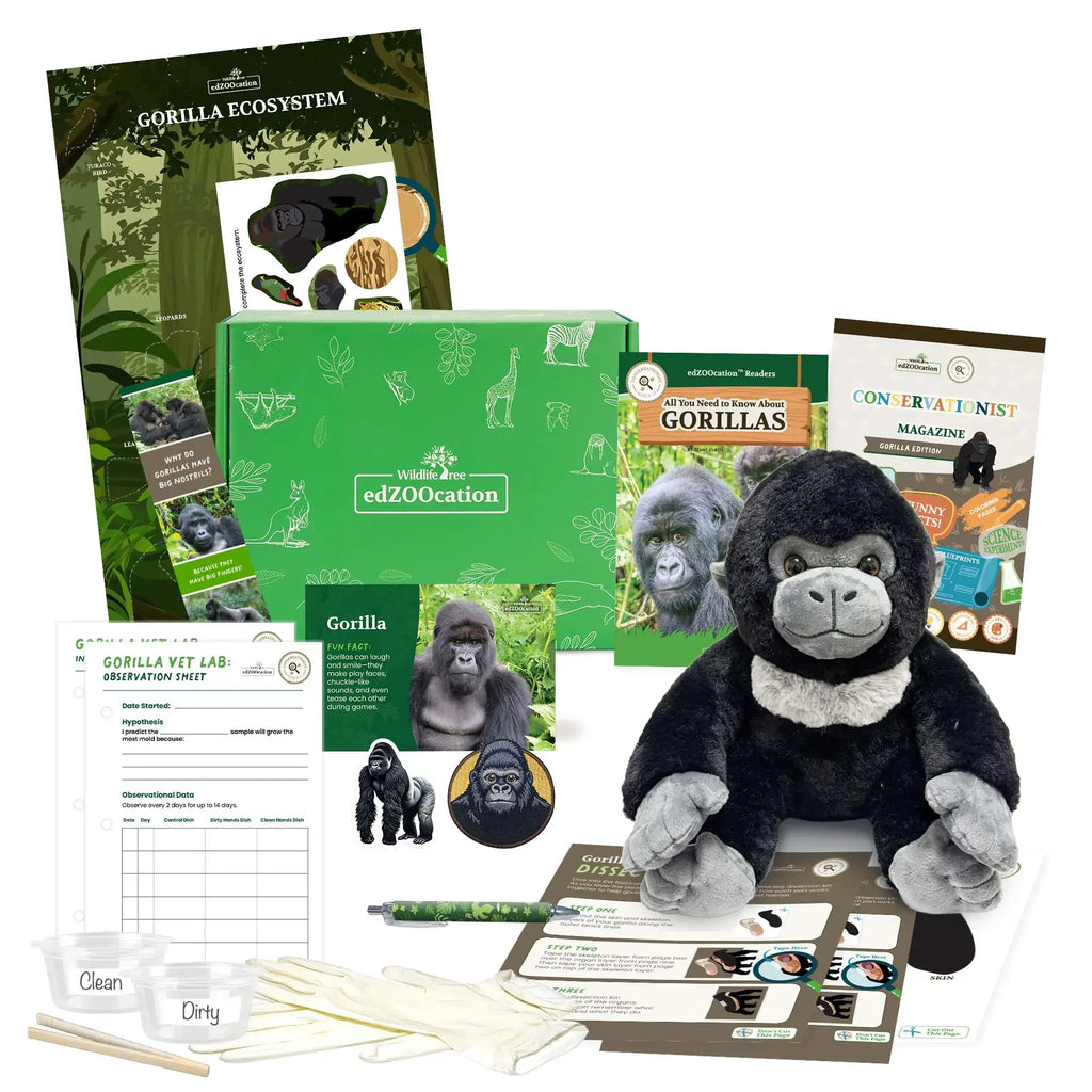 Gorilla Conservationist Box (Age 9-12)