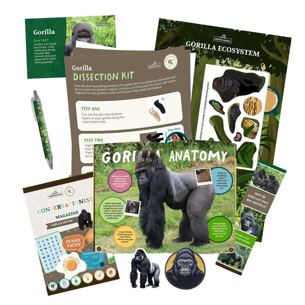 Gorilla Conservationist Box (Age 9-12)