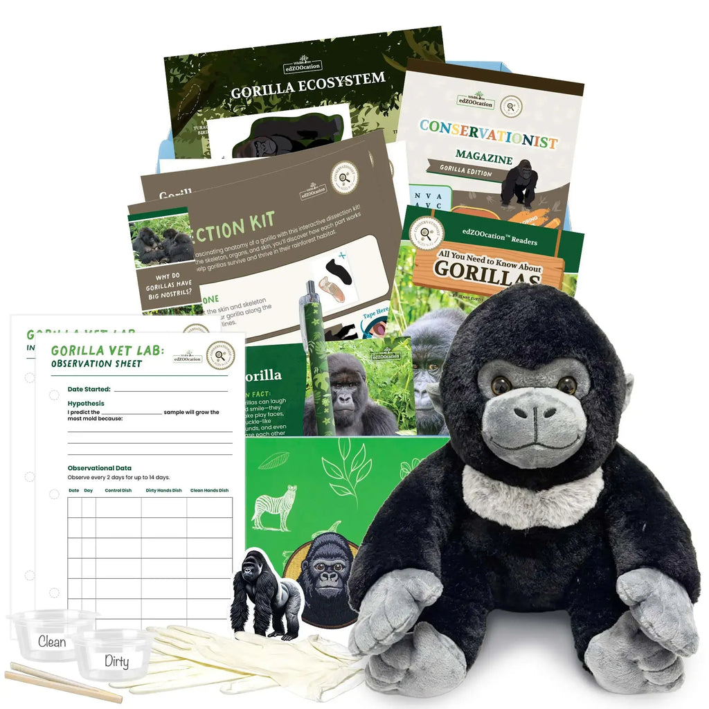 A complete gorilla-themed educational subscription box from edZOOcation featuring a plush gorilla toy, conservation magazines, animal fact cards, activity booklets, science experiment materials, stickers, and hands-on learning activities about gorillas and their ecosystem.