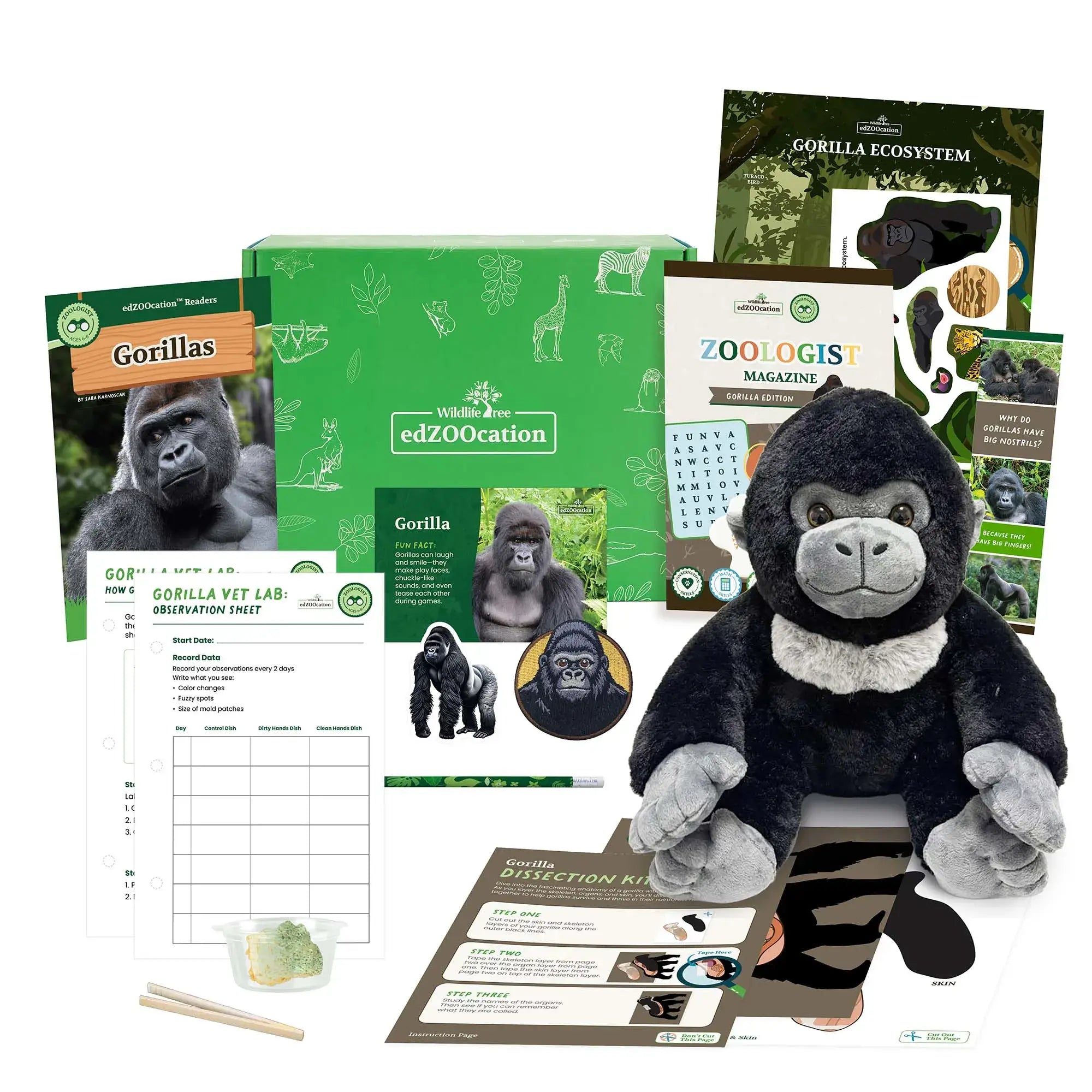 Educational materials and plush gorilla toy on a white background