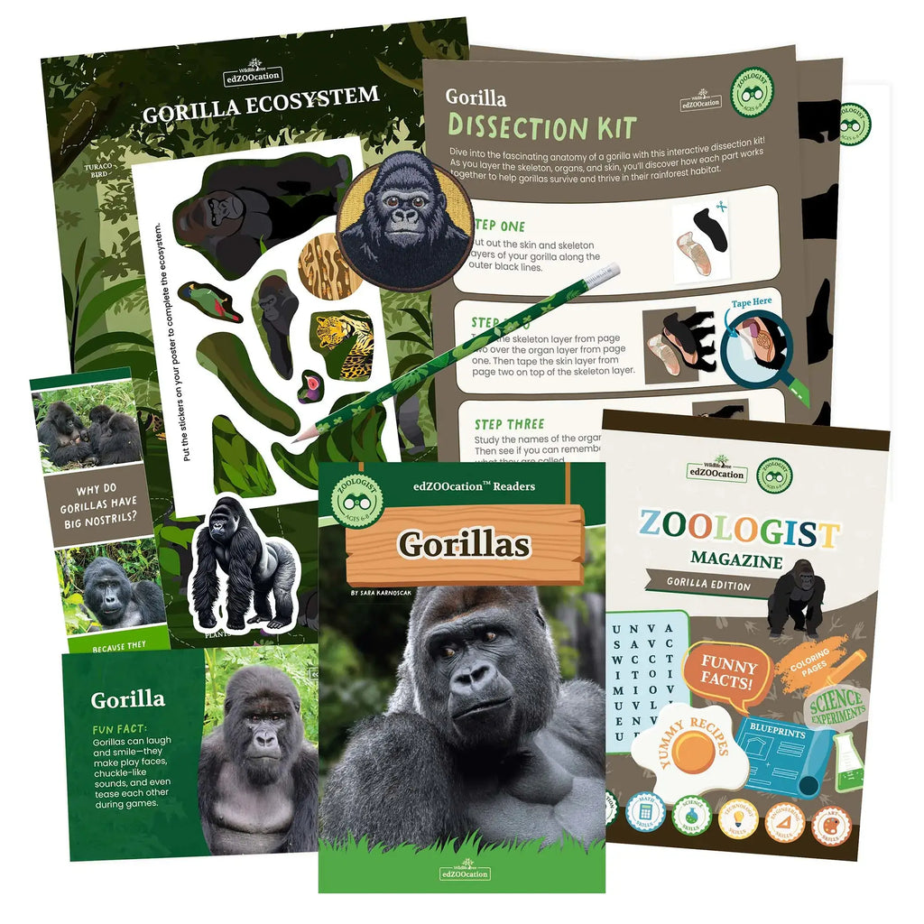 Educational materials about gorillas including a dissection kit, magazine, and posters.